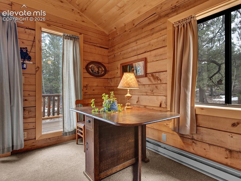 1462 Pulver Road Lake George, CO 80827 - Photo 13 of 25 Gallery Image 13