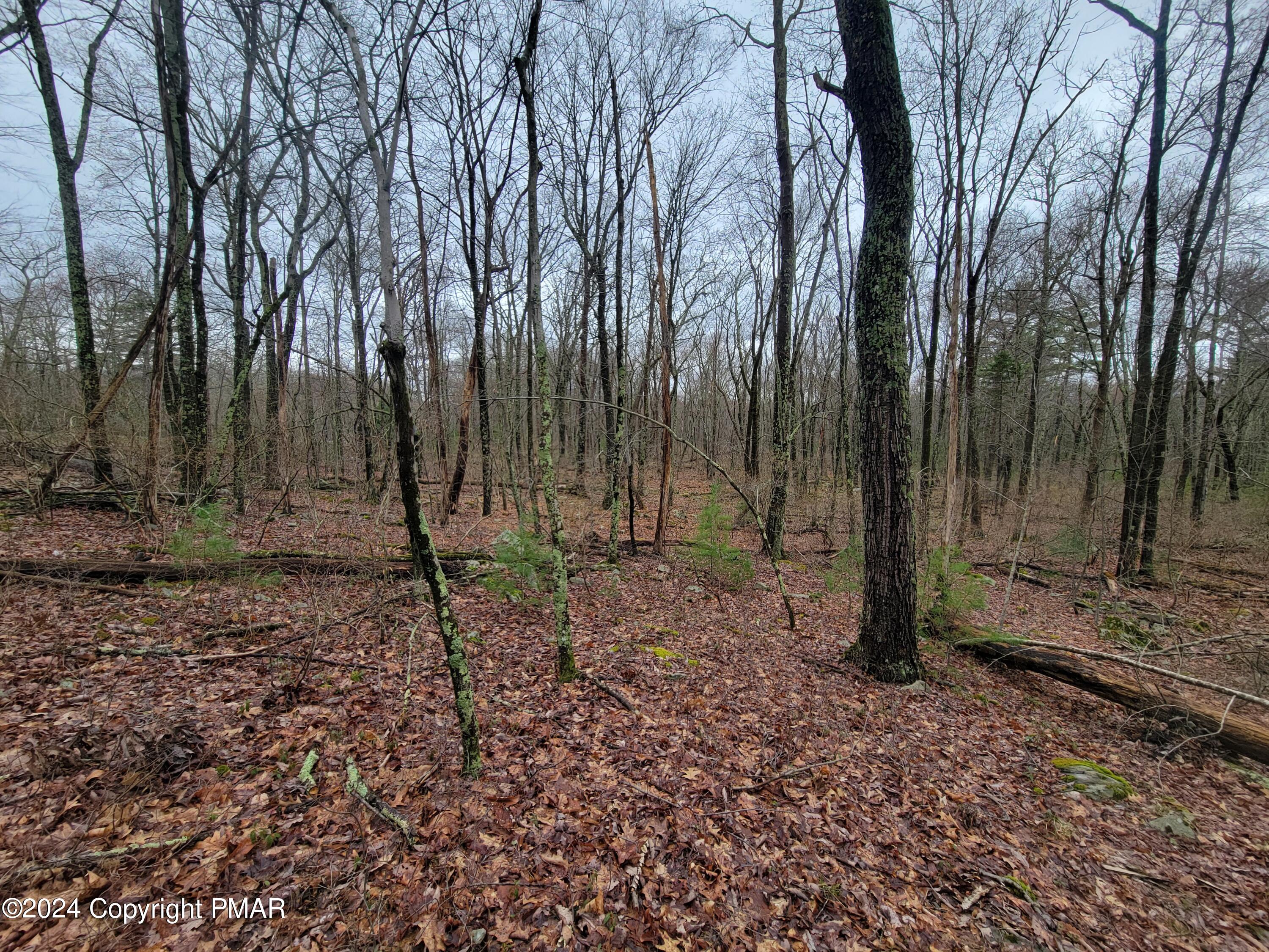 Pa-739 Dingmans Ferry, PA 18328 - Photo 5 of 6 a backyard of a house with lots of green space