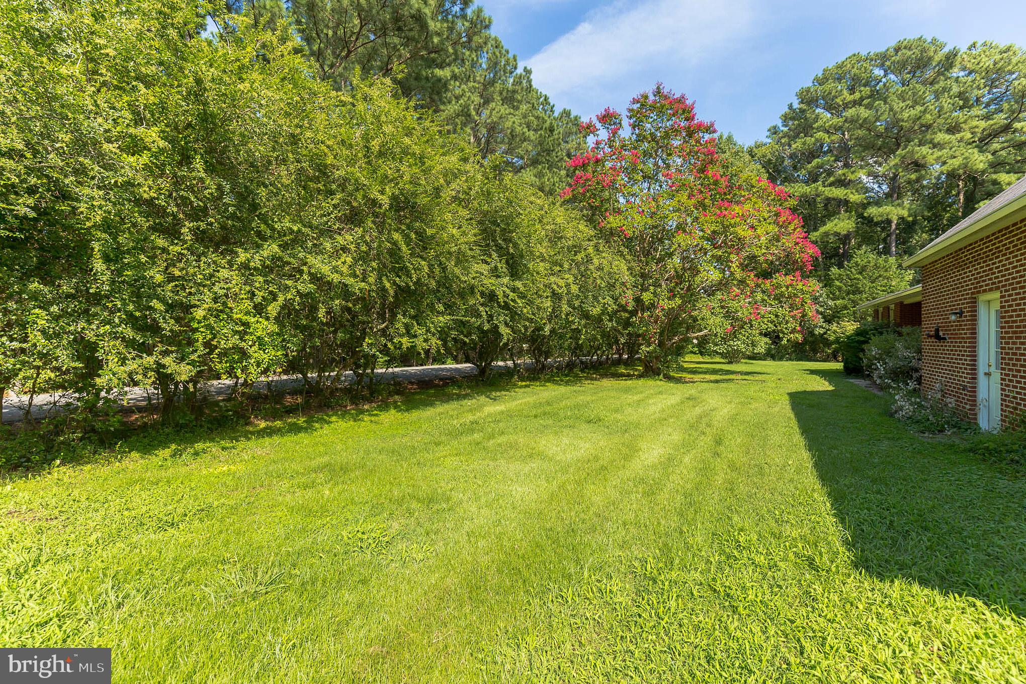 13620 Dowell Road Solomons, MD 20629 - Photo 24 of 28 Amazing grounds with privet, crape myrtle.