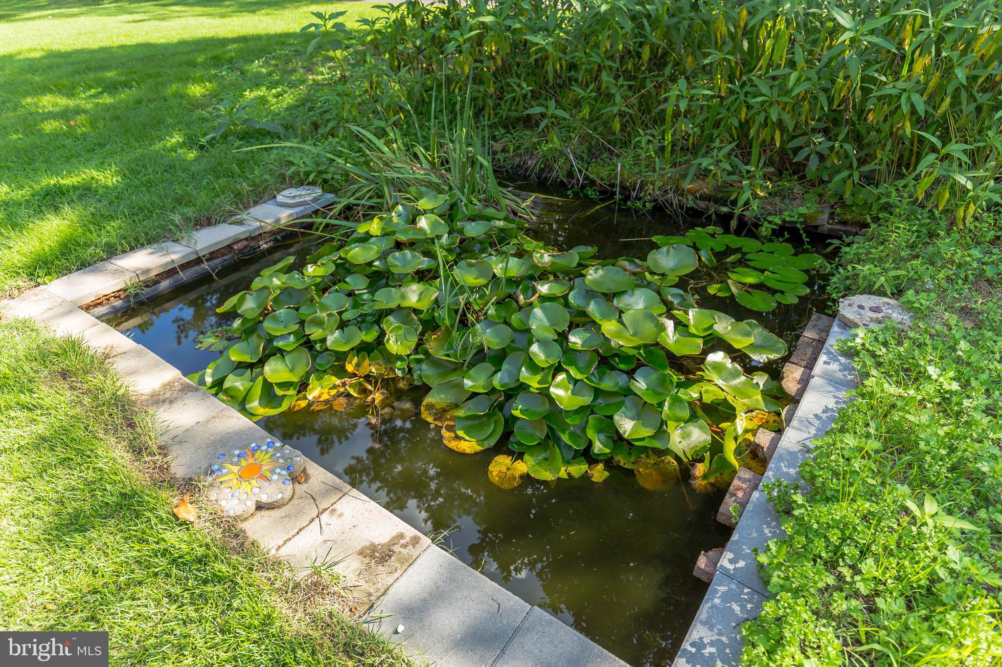 13620 Dowell Road Solomons, MD 20629 - Photo 25 of 28 Sweet lily pond in the yard.