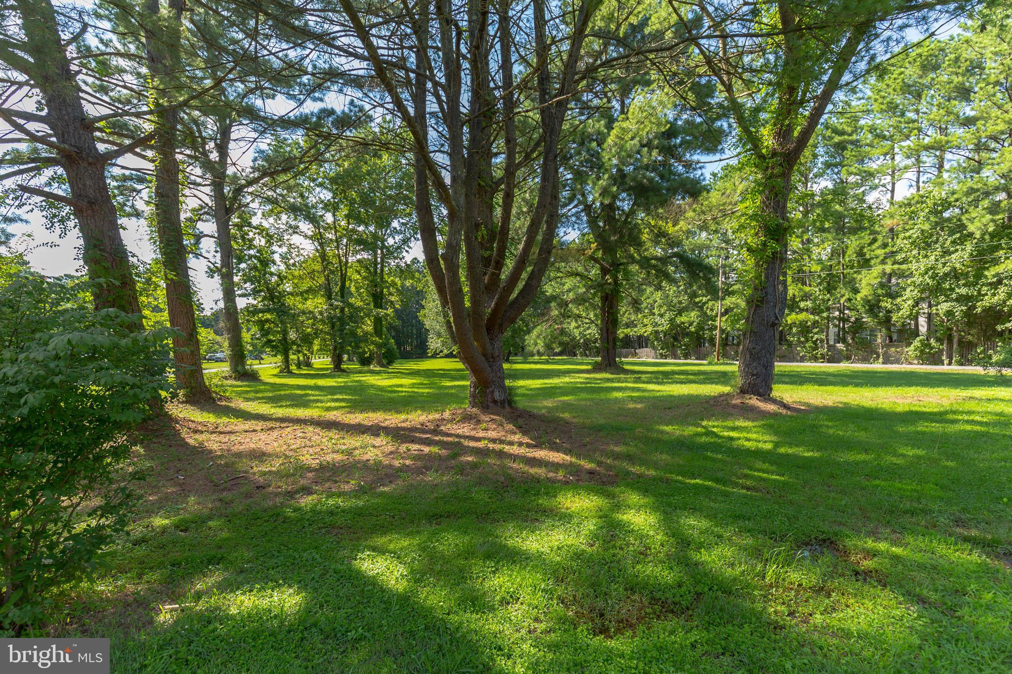 13620 Dowell Road Solomons, MD 20629 - Photo 6 of 28 Looking from the garage area, Appel Lane on R