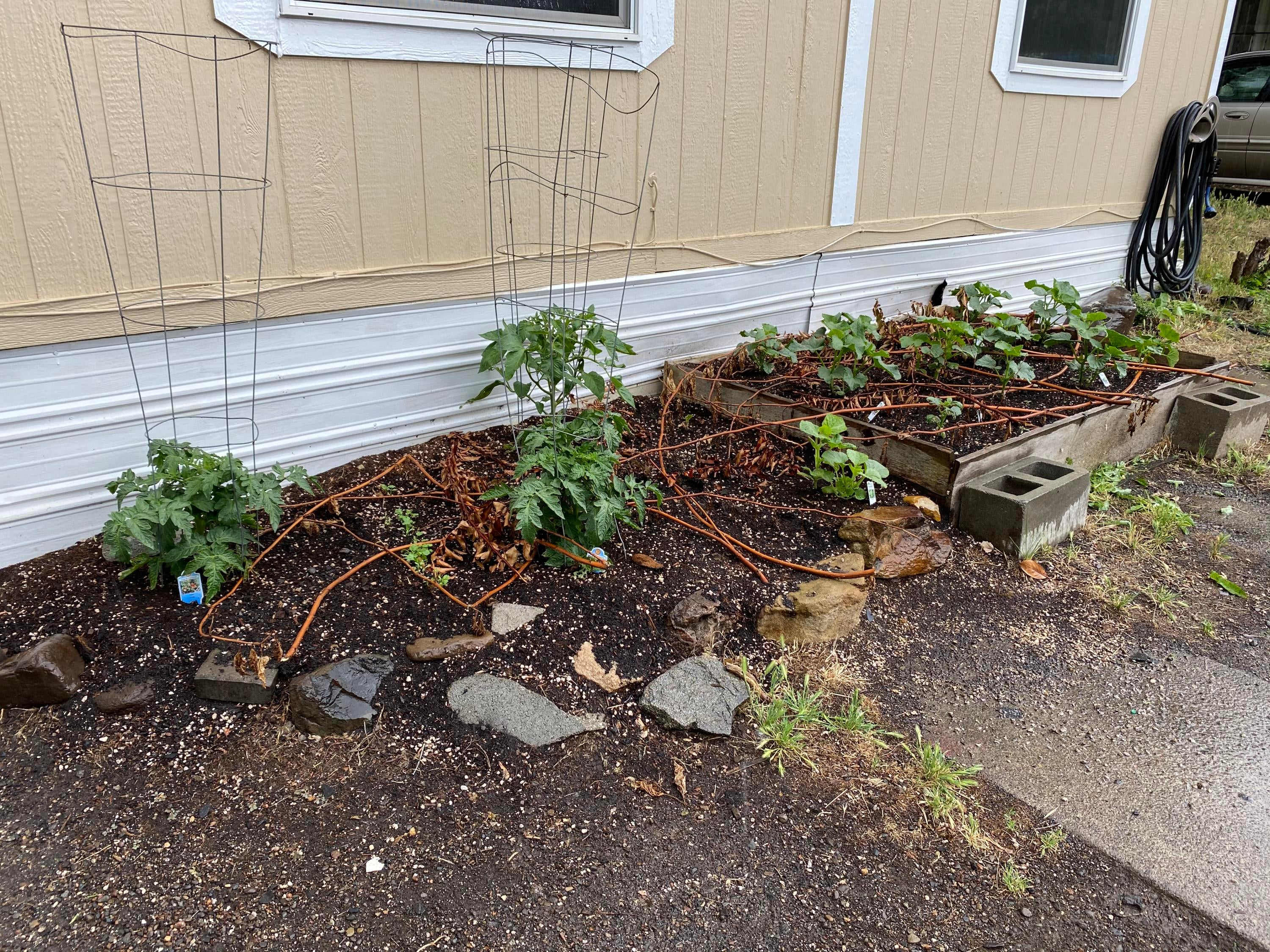 939 South Valley Road, Unit 10 Ashland, OR 97520 - Photo 22 of 23 Garden area.