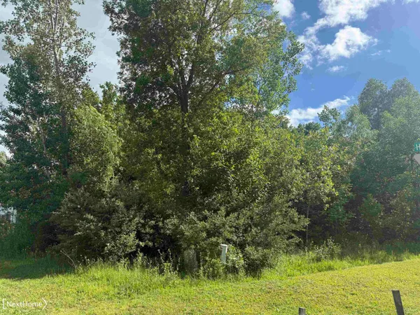 $29,900 | Vl Lot 53 Vl Trail, Lennon, MI 48449