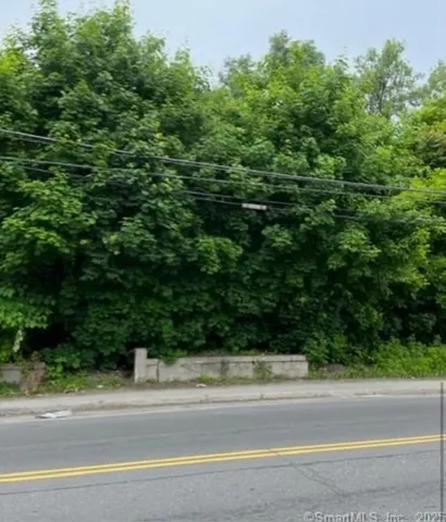 a view of a yard and a car parked on the side of the road
