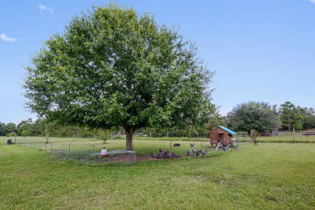 31671 Hagendorfer Road Lillian, AL 36549 - Photo 22 of 26