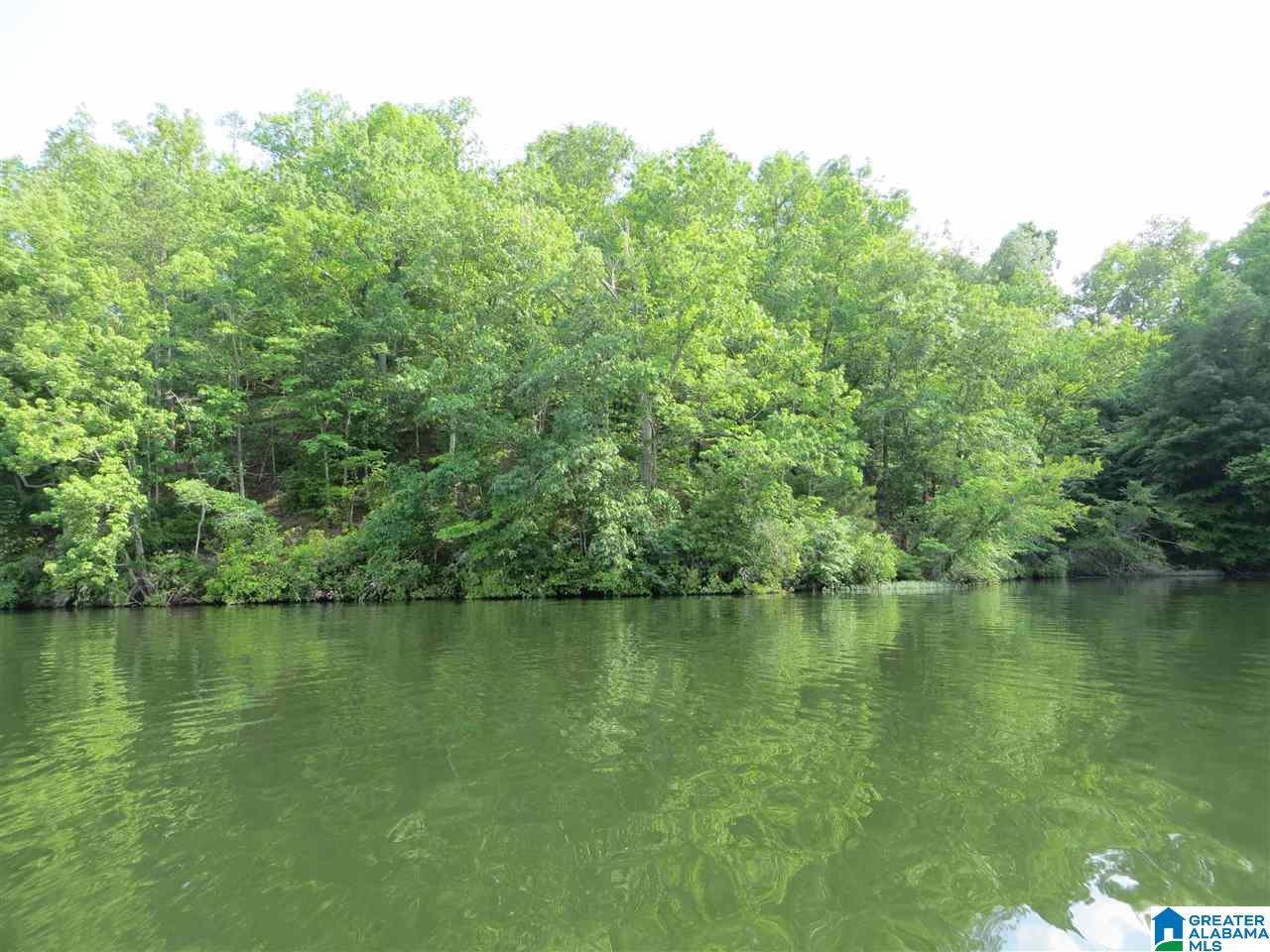 Lot 3 Eagle Mountain Road, Unit 3 Alexander City, AL 35010 - Photo 1 of 6
