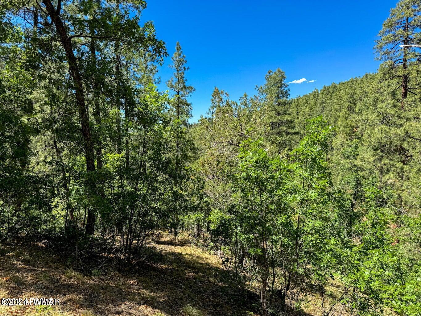 2021 East Empire Road Prescott, AZ 86303 - Photo 29 of 35 20240620040500943087000000-o