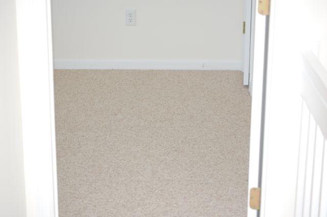 460 Doane Way Charleston, SC 29492 - Photo 12 of 25 DSC_0065