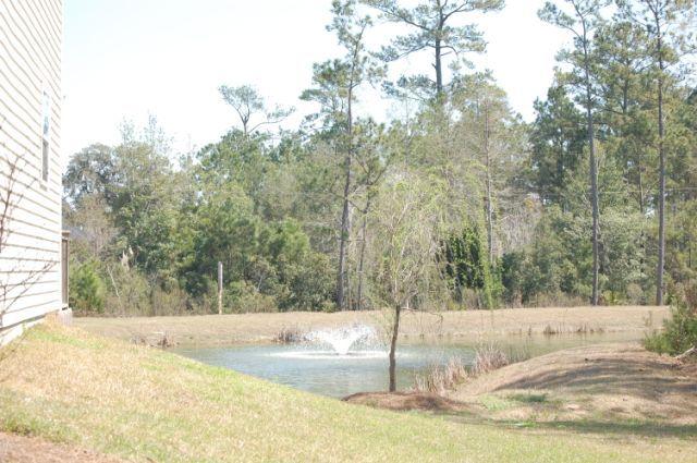 460 Doane Way Charleston, SC 29492 - Photo 4 of 25 DSC_0009