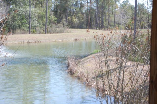460 Doane Way Charleston, SC 29492 - Photo 9 of 25 DSC_0039