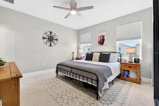 a bathroom with a sink a toilet a mirror a vanity and shower