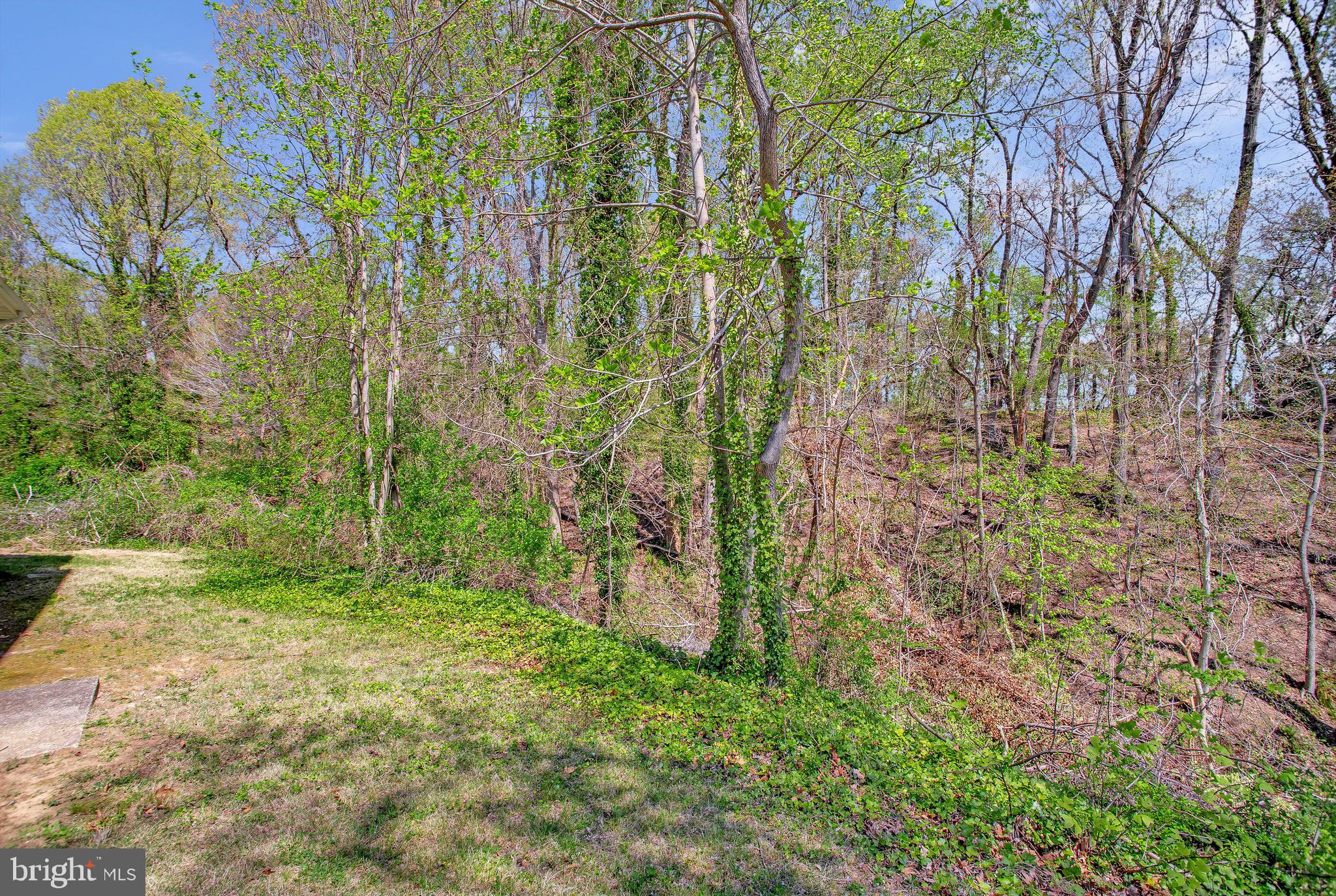 13402 Colwyn Road Fort Washington, MD 20744 - Photo 40 of 40 Gallery Image 40