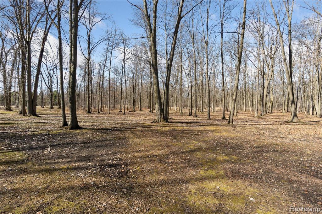 6730 Fort Road Birch Run, MI 48415 - Photo 25 of 27