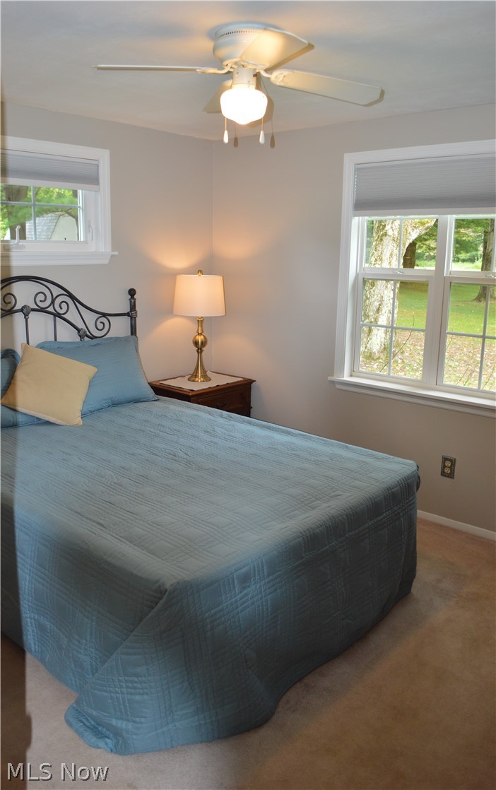 9970 Bell Road Newbury, OH 44065 - Photo 23 of 32 Gallery Image 23