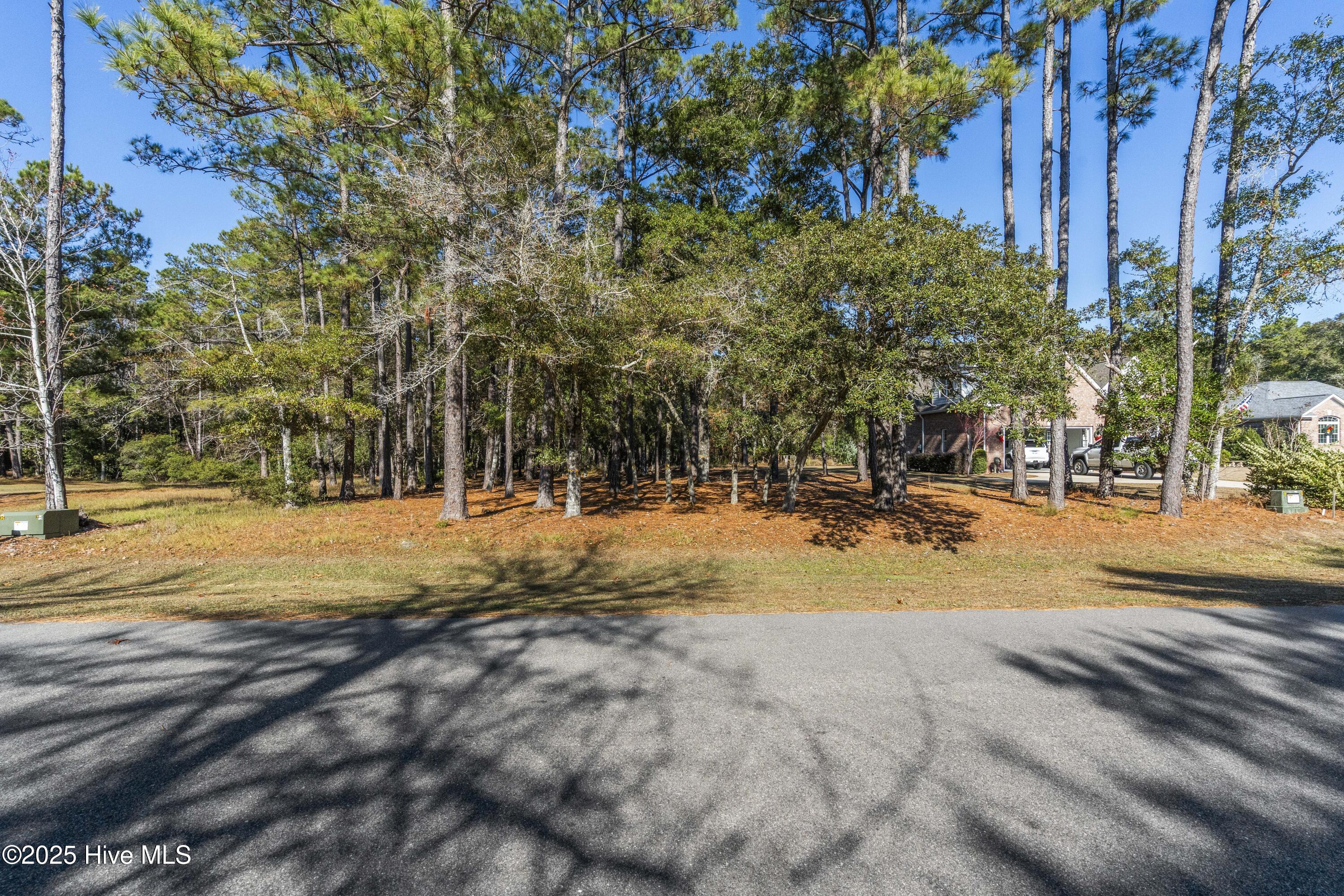 342 Genoe's Point Road Southwest Supply, NC 28462 - Photo 19 of 38 DSC01569