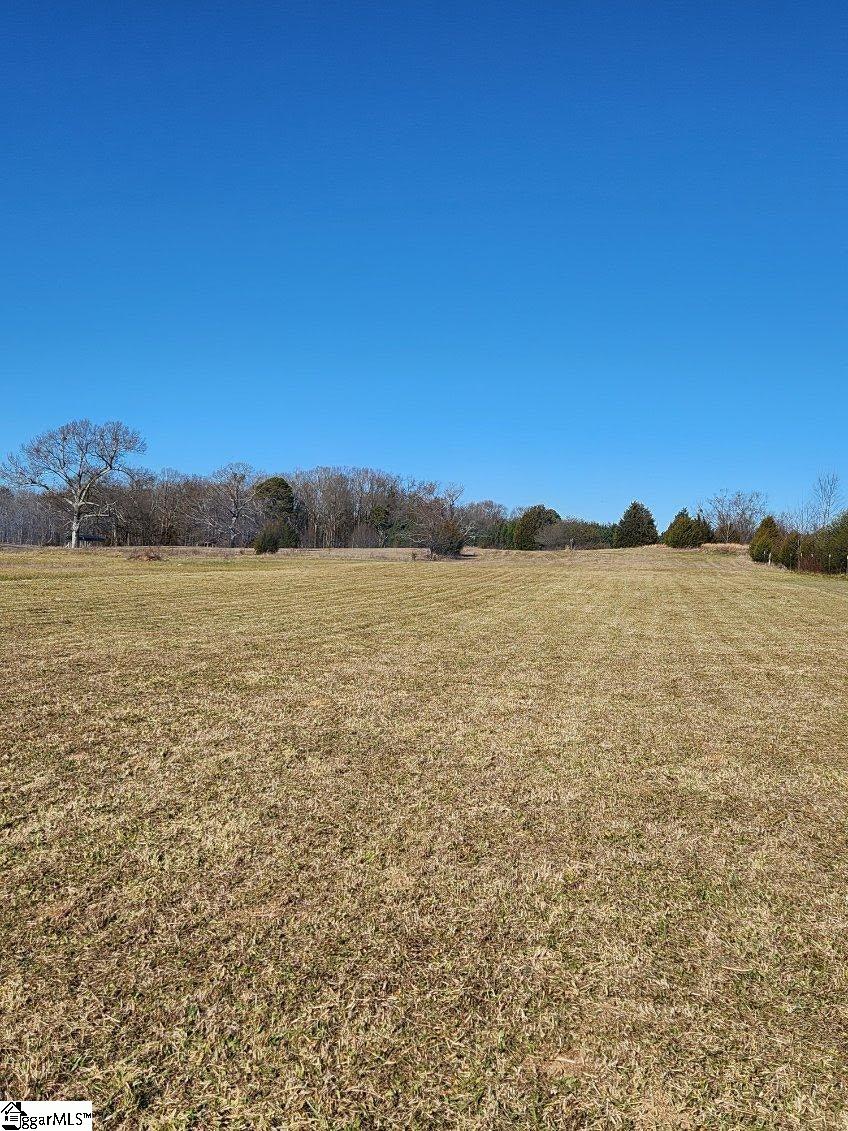 0 Swallow Drive Fountain Inn, SC 29644 - Photo 1 of 6 Gallery Image 1
