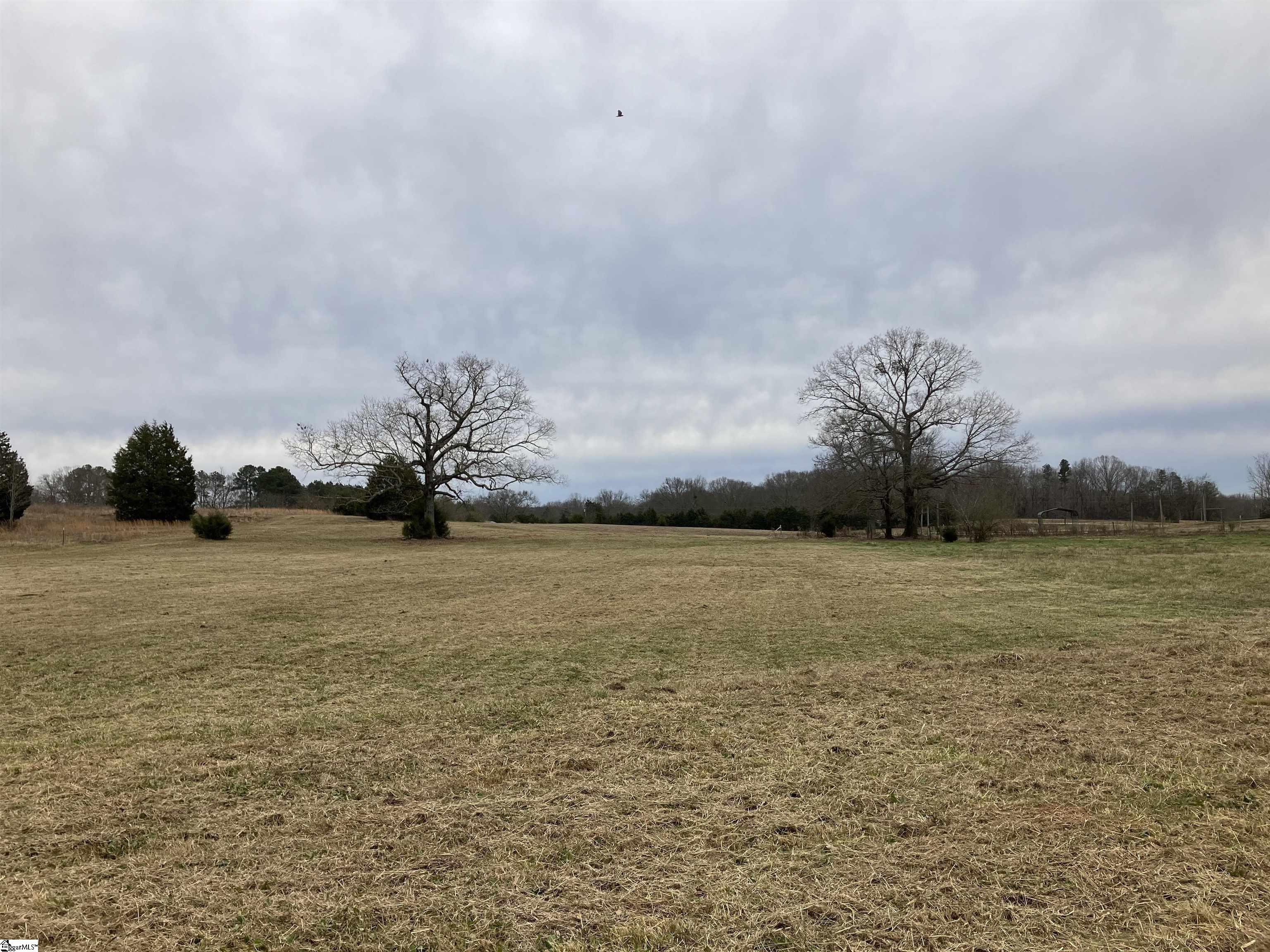 0 Swallow Drive Fountain Inn, SC 29644 - Photo 5 of 6 Gallery Image 5