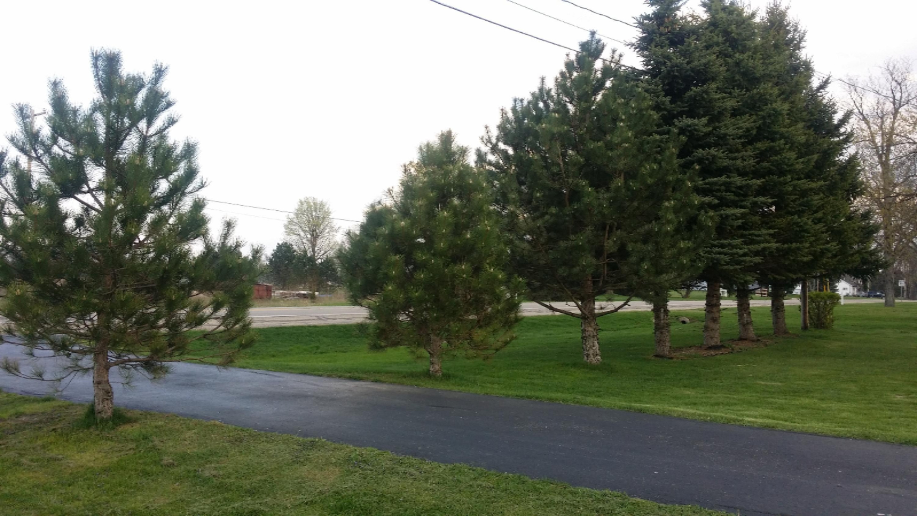 20160425_182546 [67609]
