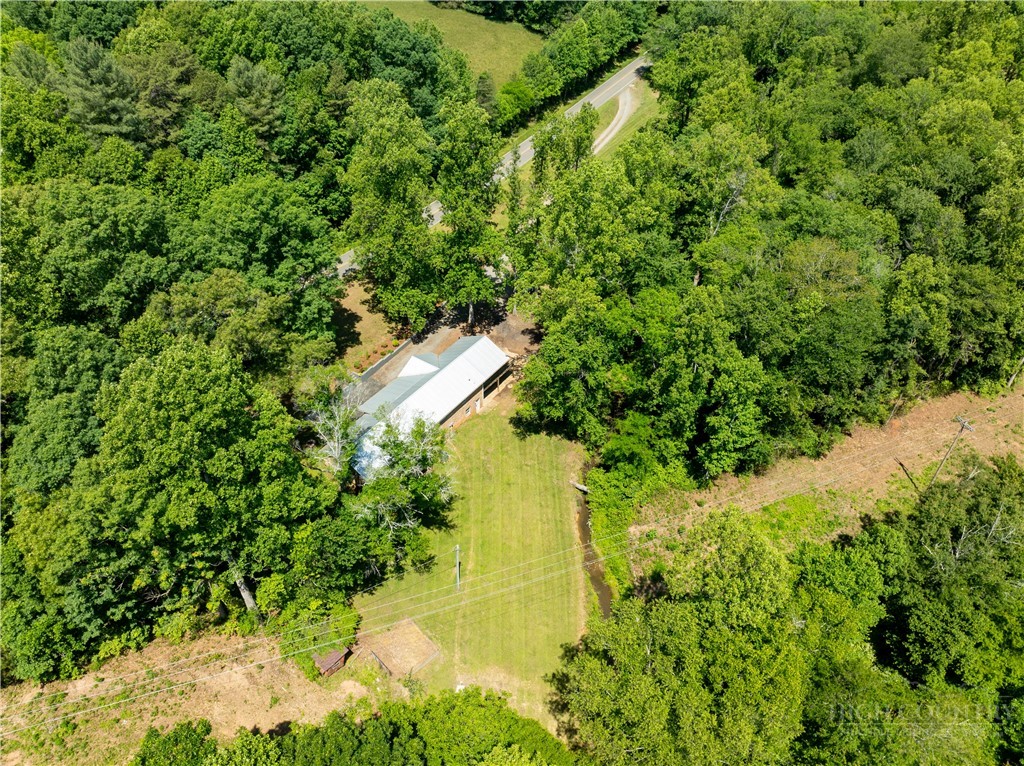 142 Pioneer Road Harmony, NC 28634 - Photo 18 of 49 a view of a garden with a tree