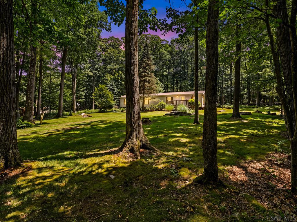175 Dons Road Fort Hill, PA 15540 - Photo 1 of 35 Gallery Image 1