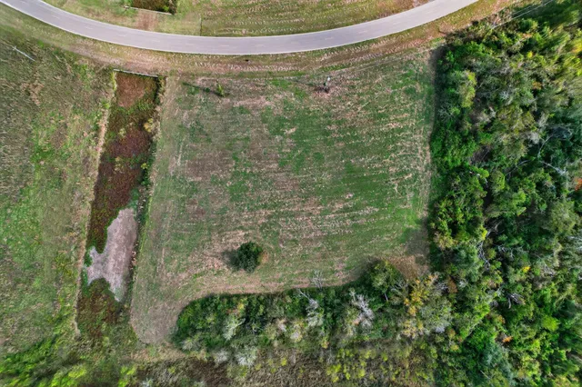 a view of a plant in a bathroom