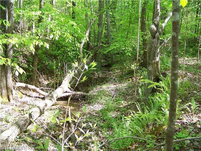 2044 Chestnut Grove Road King, NC 27021 - Photo 5 of 9 Land/Lot. This creek is behind the home and very relaxing to be around. Perfect area for relaxing from a busy day. Kids will love this area for adventure.