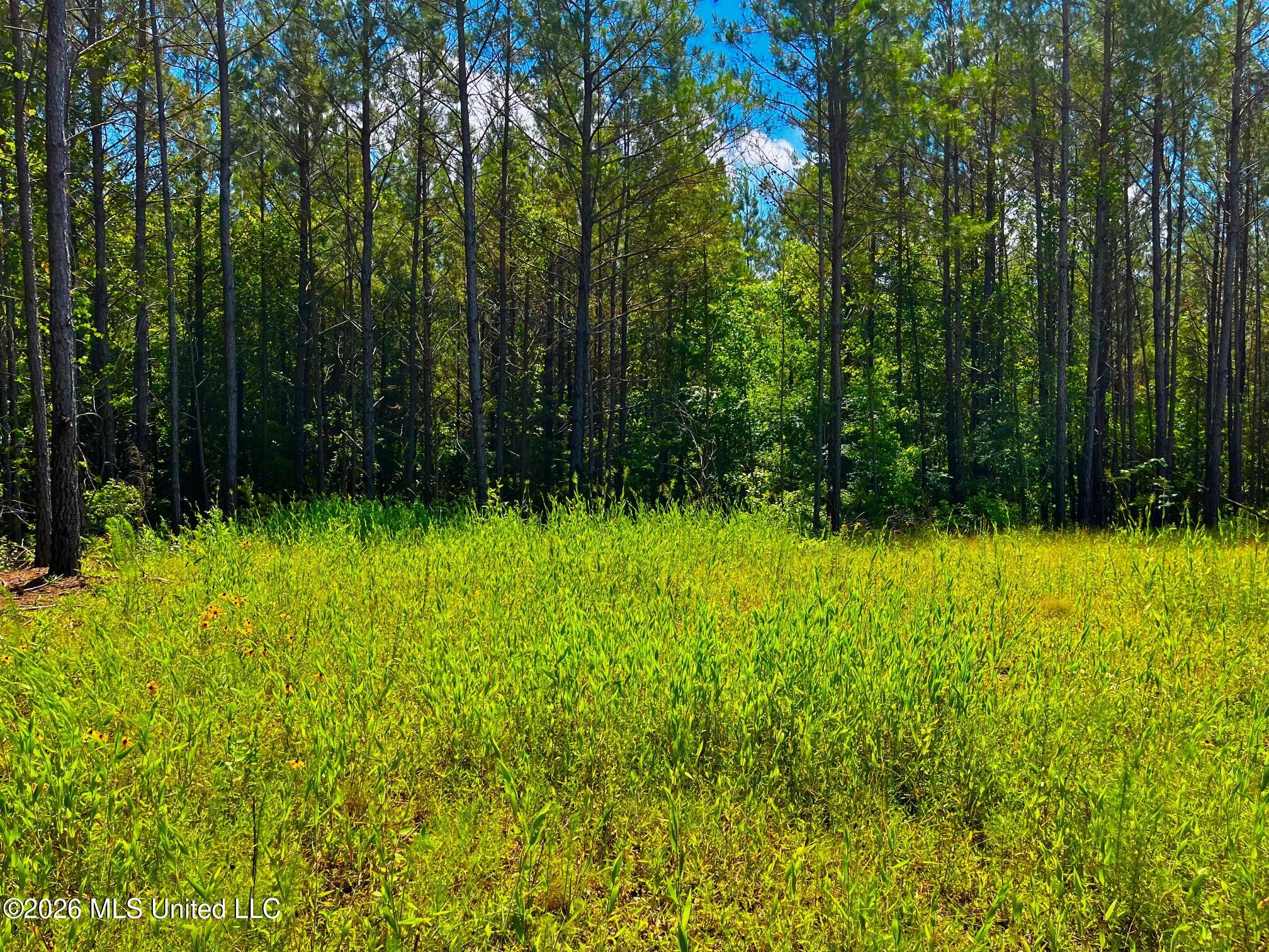 Arthur Drive Brookhaven, MS 39601 - Photo 8 of 20 ar7