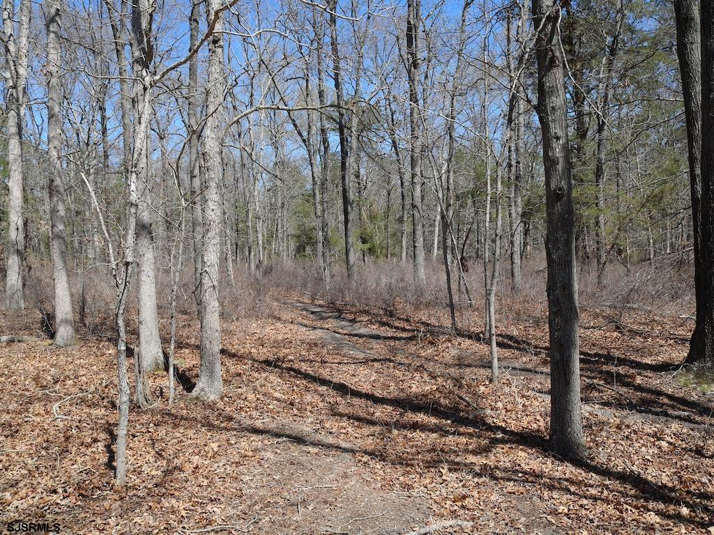351 Shaws Mill Road Newport, NJ 08345 - Photo 80 of 84