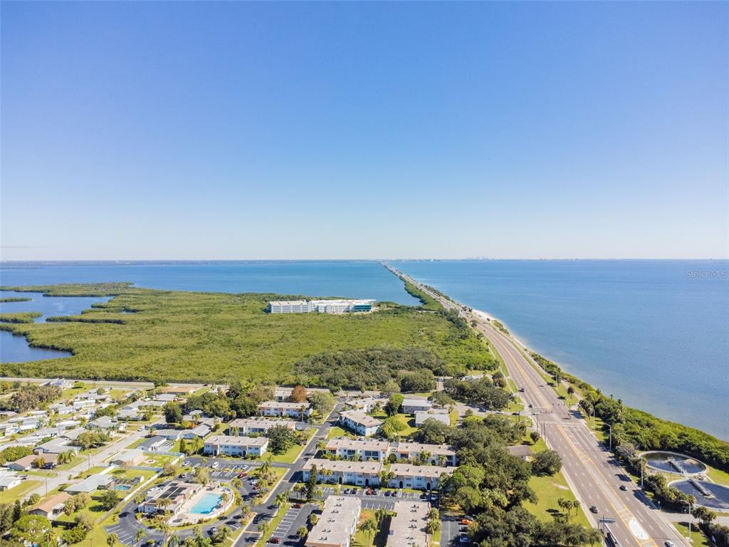 239 South McMullen Booth Road, Unit 37 Clearwater, FL 33759 - Photo 28 of 35