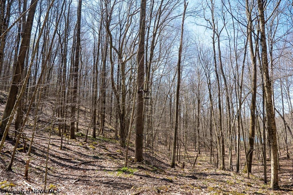 Lot 1 Fairfax Mine Road Reedsville, WV 26547 - Photo 16 of 49 Gallery Image 16