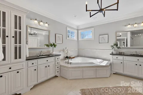a bathroom with a granite countertop sink a potted plant and a shower