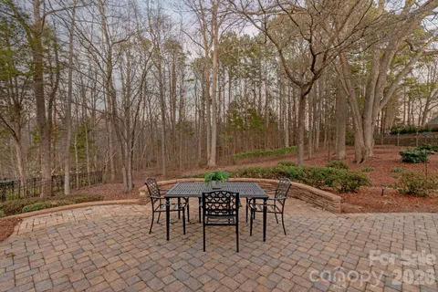 a view of a garden with plants