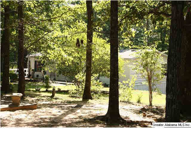 1040 Lynch Lake Road Odenville, AL 35120 - Photo 5 of 30