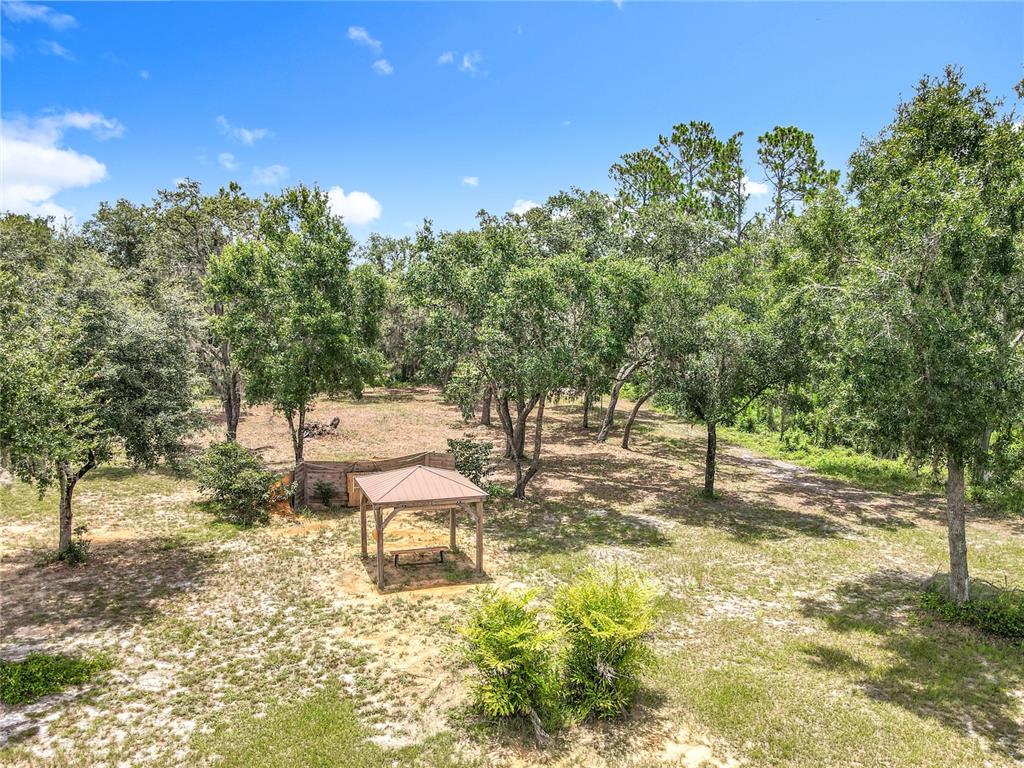 10220 Bay Lake Road Groveland, FL 34736 - Photo 64 of 67