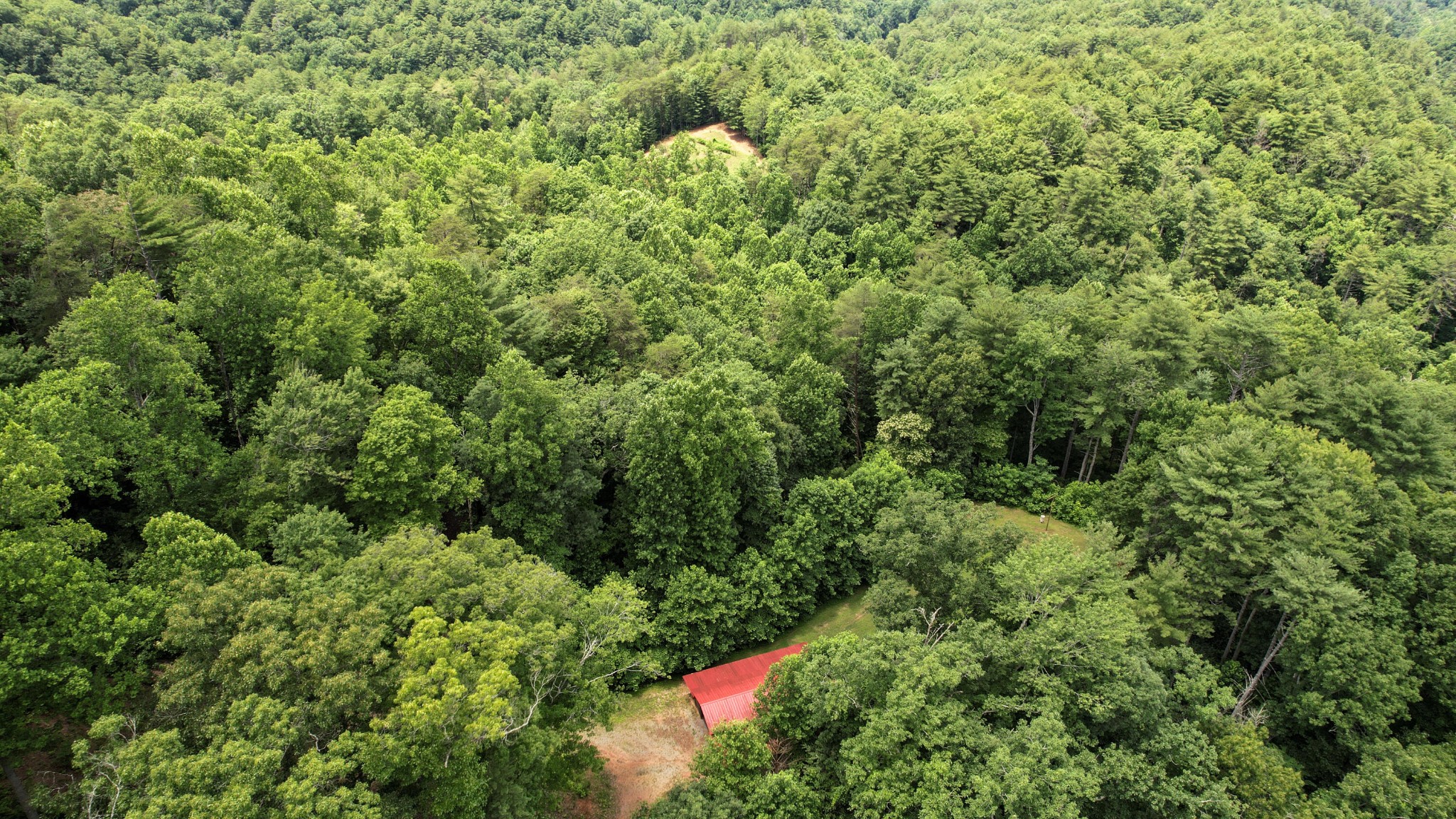 201 Campbell Branch Road Reliance, TN 37369 - Photo 78 of 99