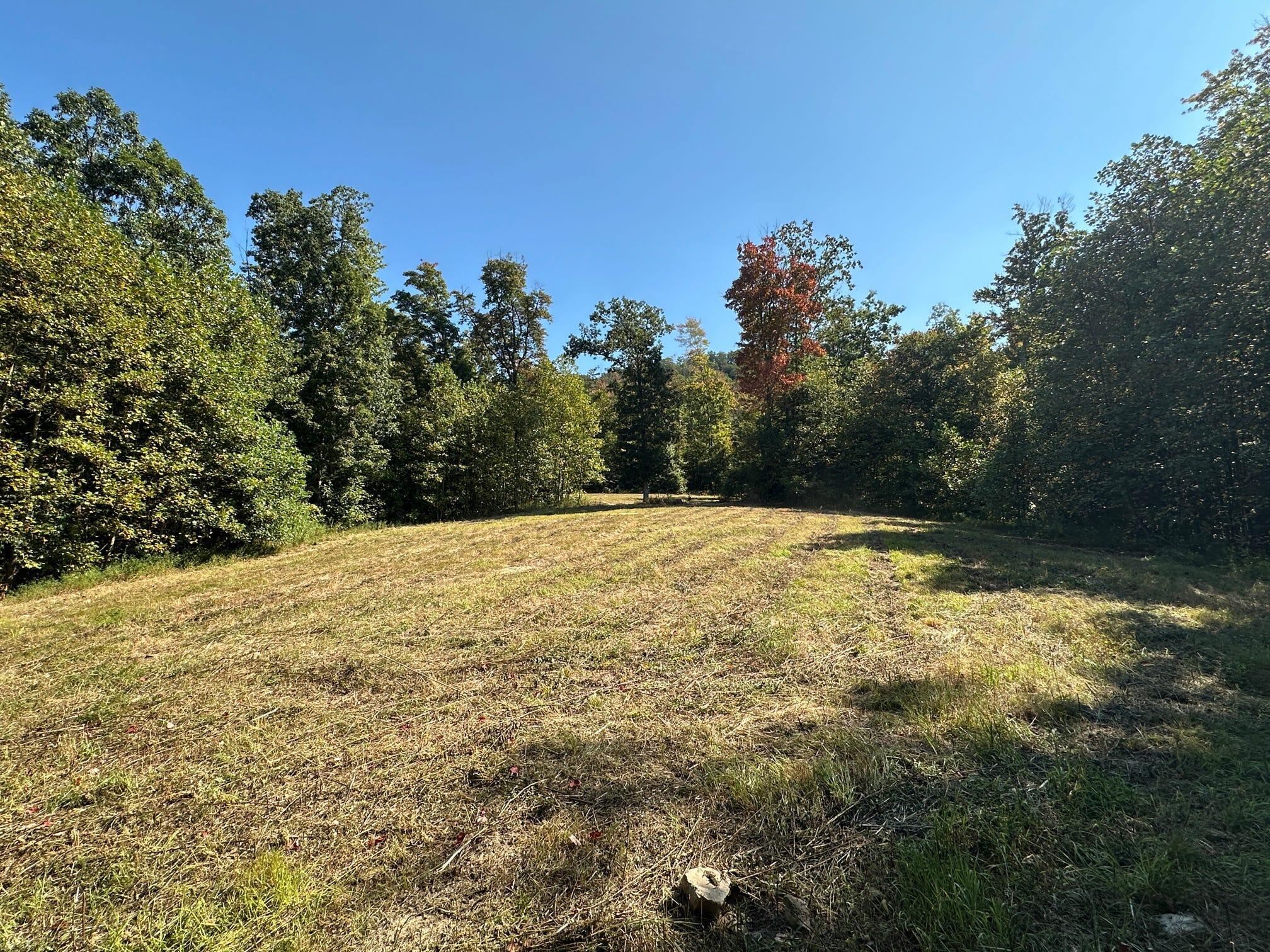 1335 Greenbrier Road Wallingford, KY 41093 - Photo 13 of 50 Gallery Image 13