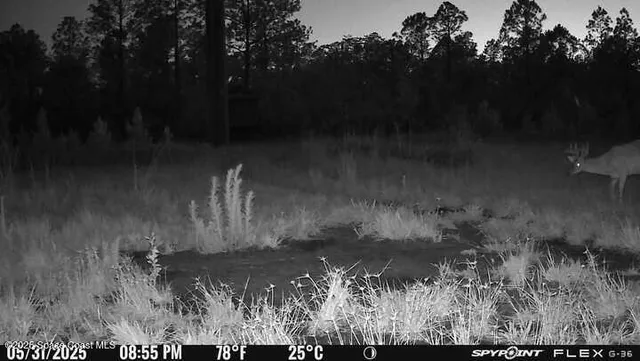 a view of a lake view