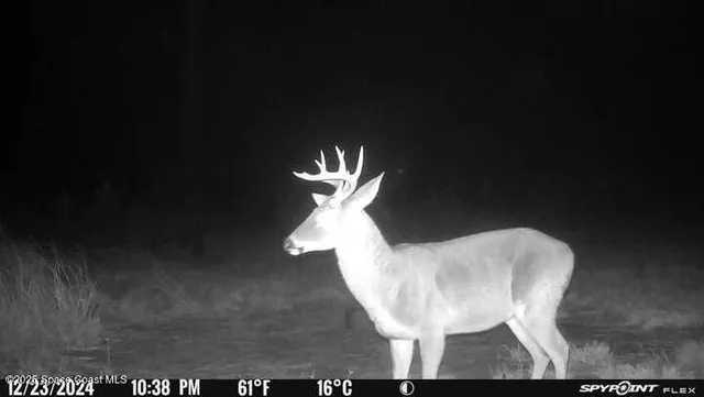 $375,000 | Undisclosed Address, Mims, FL 32754