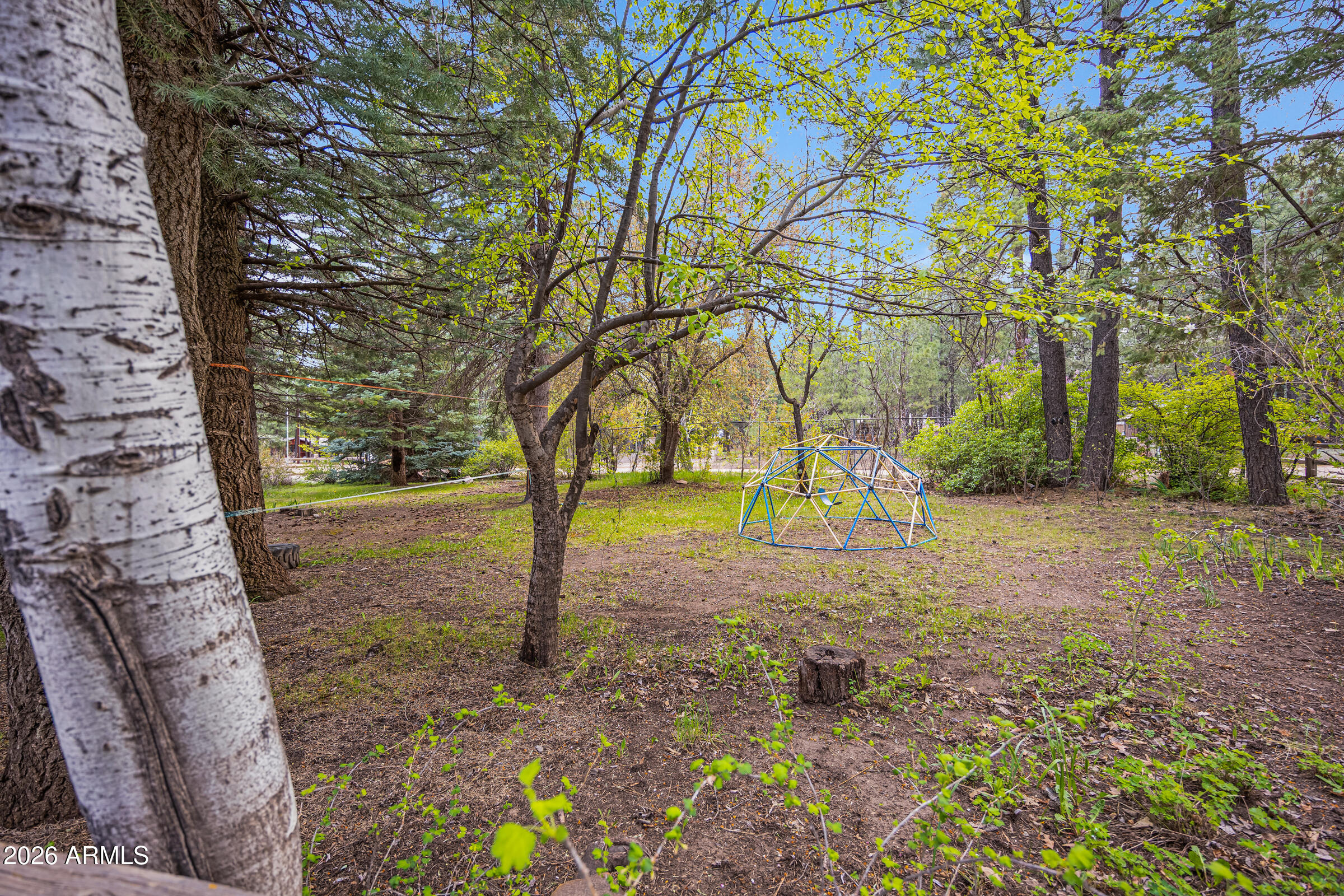 1289 Merzville Road Forest Lakes, AZ 85931 - Photo 47 of 71 1289 Merzville Rd-44