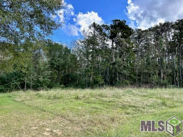 $35,000 | 19348 Plantation Trace Drive, Livingston, LA 70754