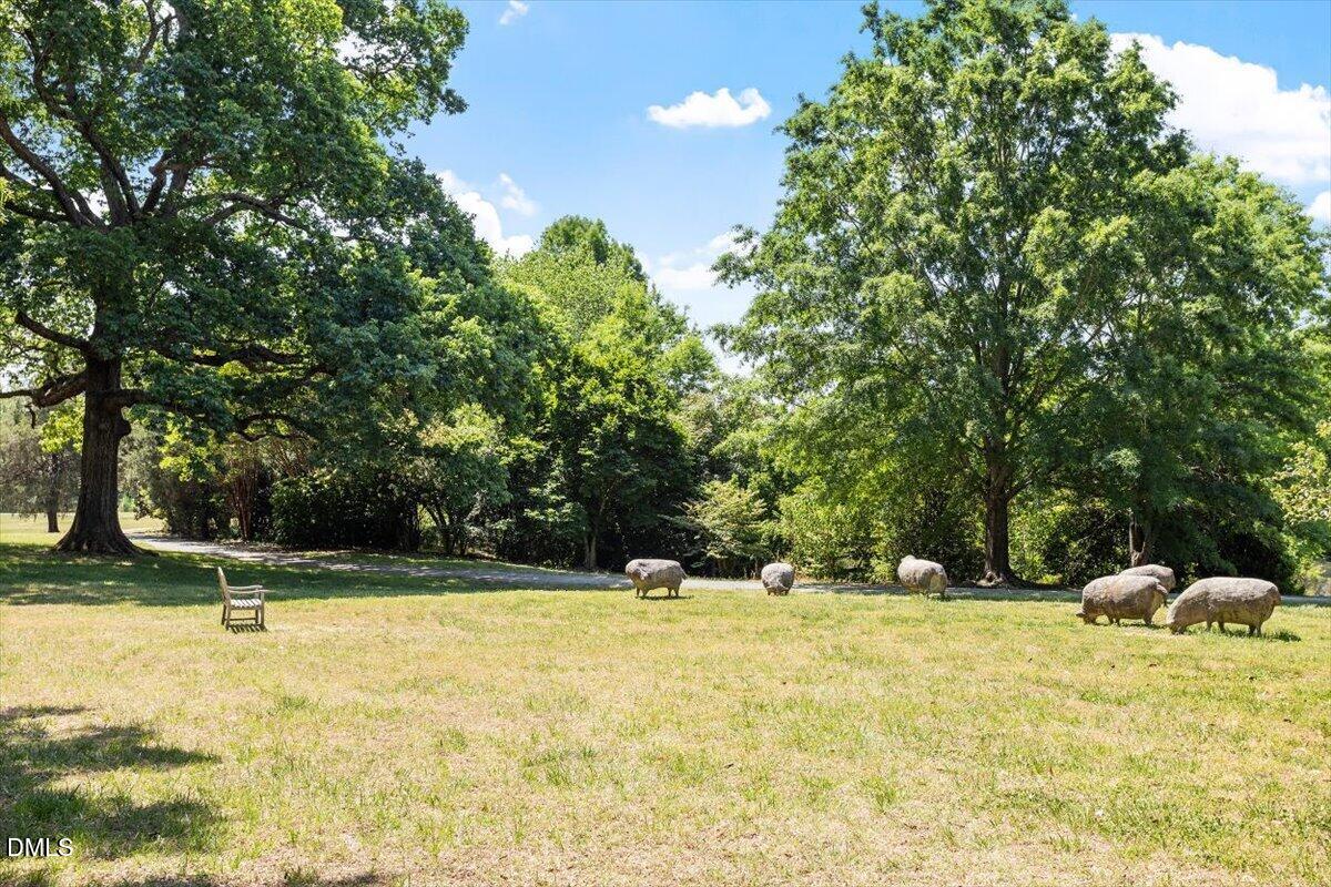 5508 Rutherford Cl Pittsboro, NC 27312 - Photo 52 of 56 43-Fearrington Village NA 18