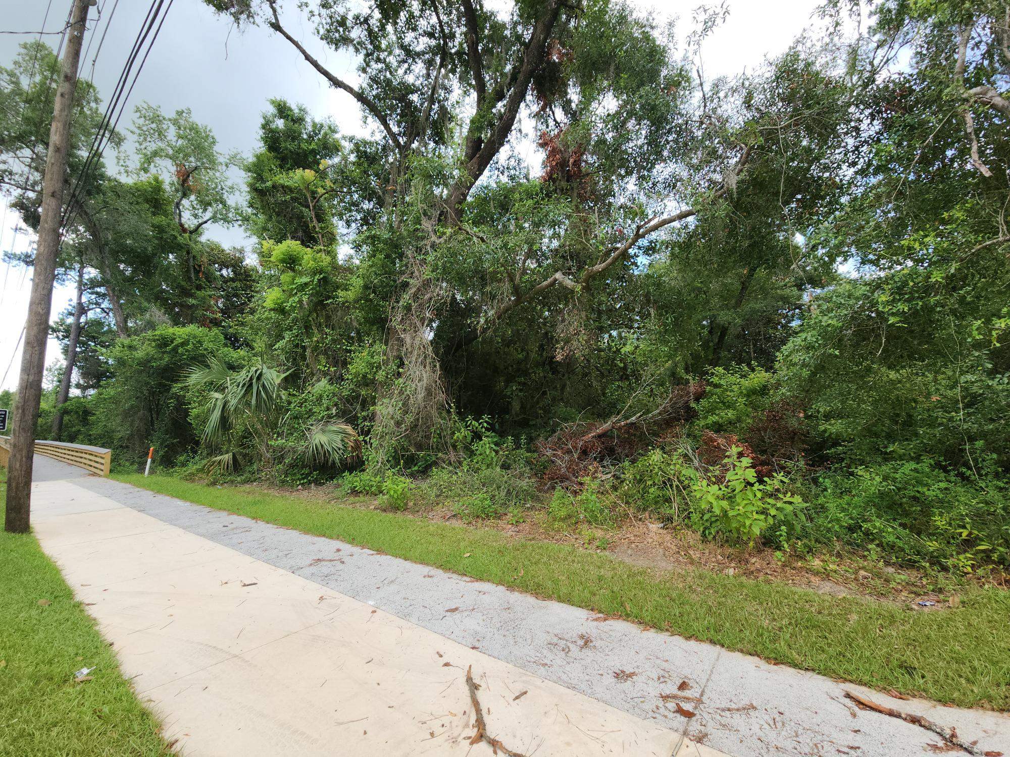 625 Tram Road Tallahassee, FL 32305 - Photo 5 of 7