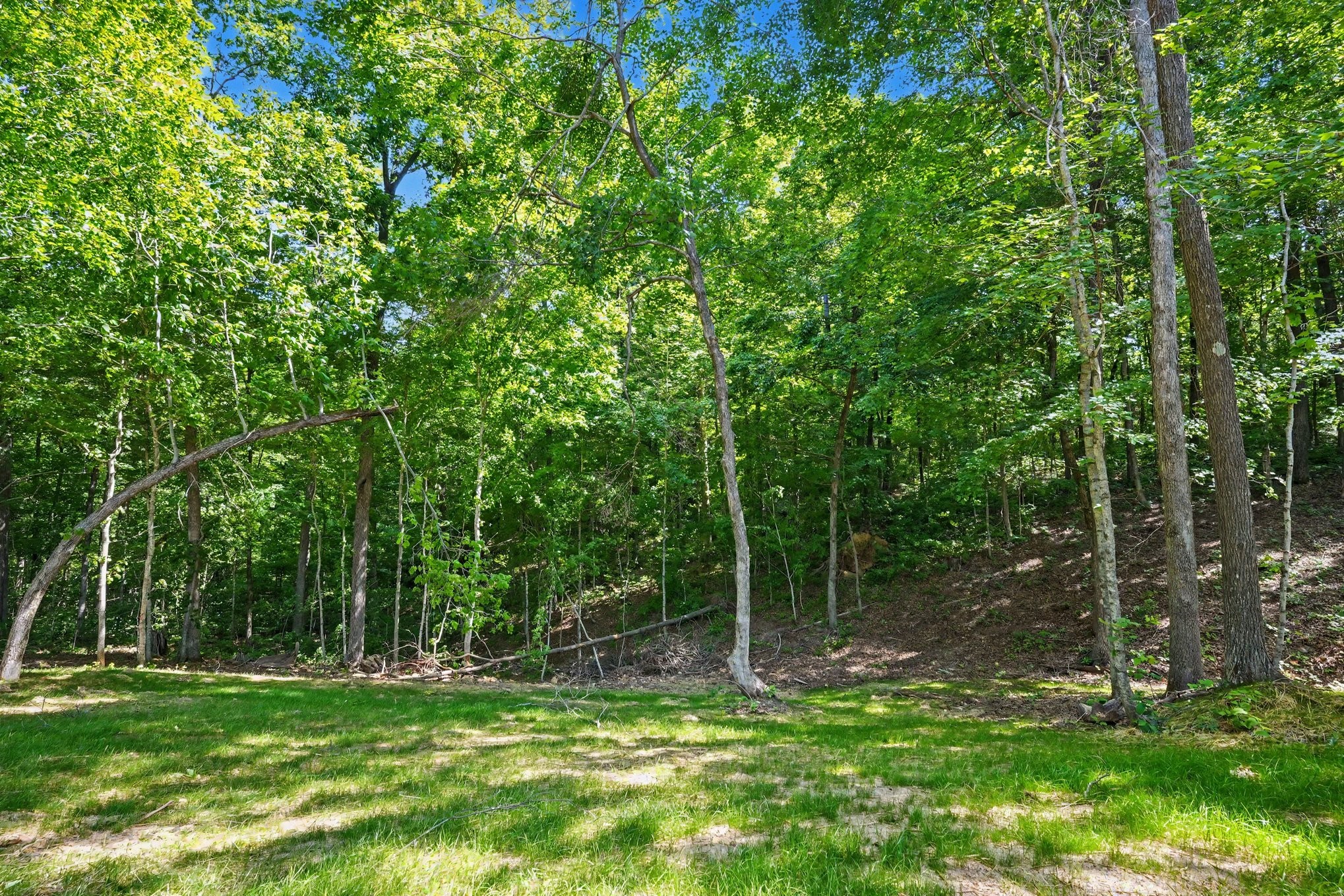 1475 Spann Road Charlotte, TN 37036 - Photo 22 of 24