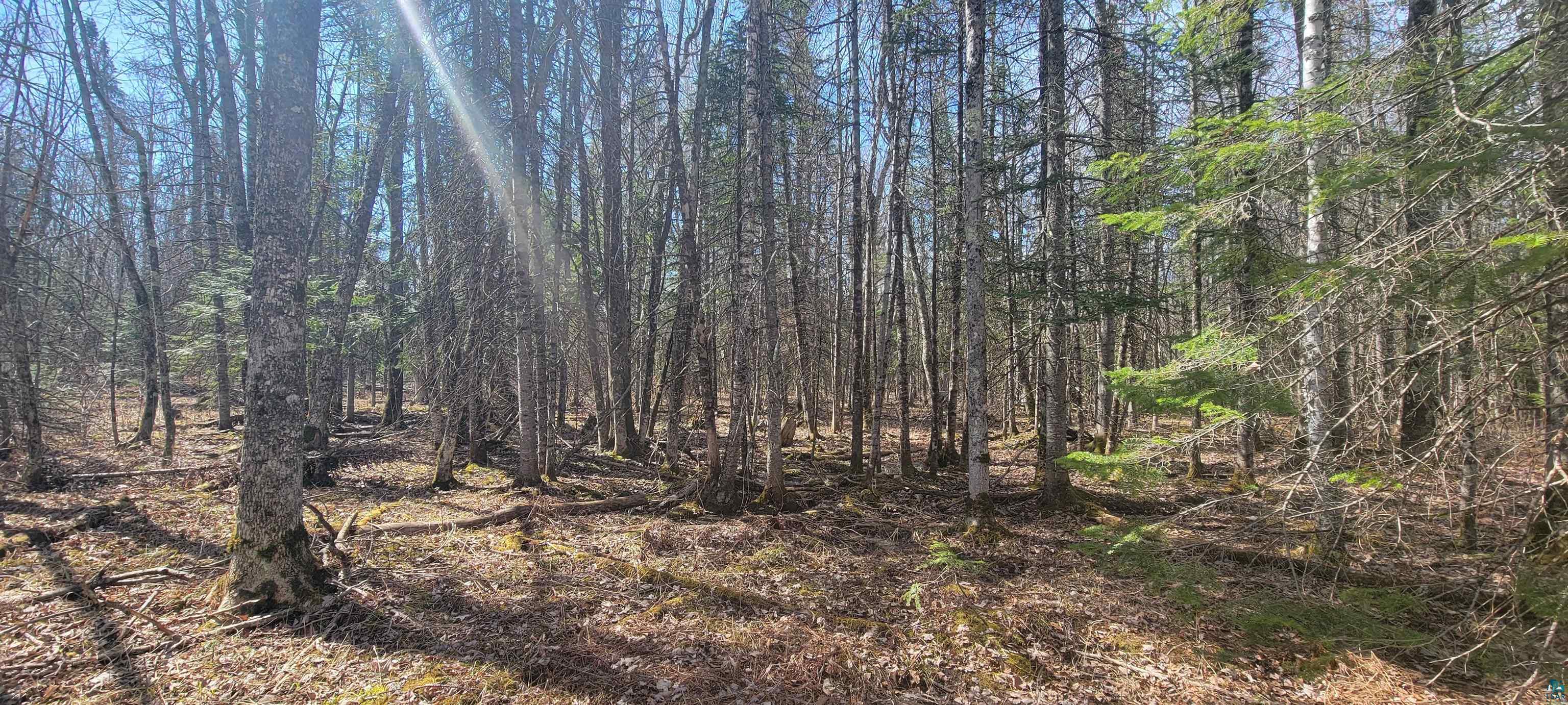 17100 Bark River Road Herbster, WI 54844 - Photo 17 of 31 Gallery Image 17