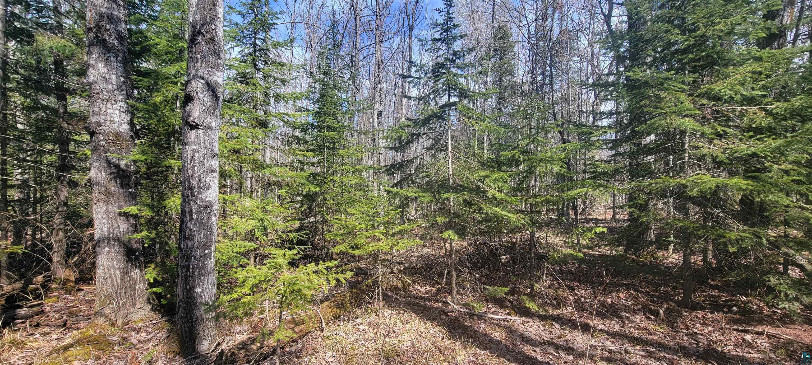 17100 Bark River Road Herbster, WI 54844 - Photo 27 of 31 Gallery Image 27