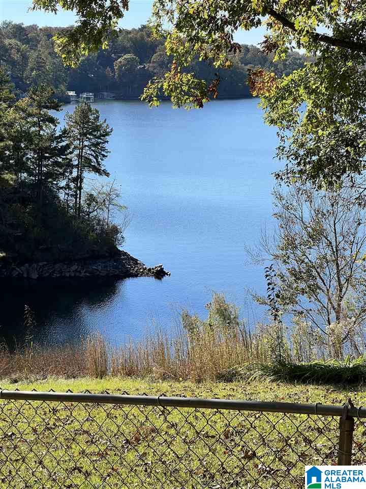 1843 County Road 129 Wedowee, AL 36278 - Photo 35 of 48