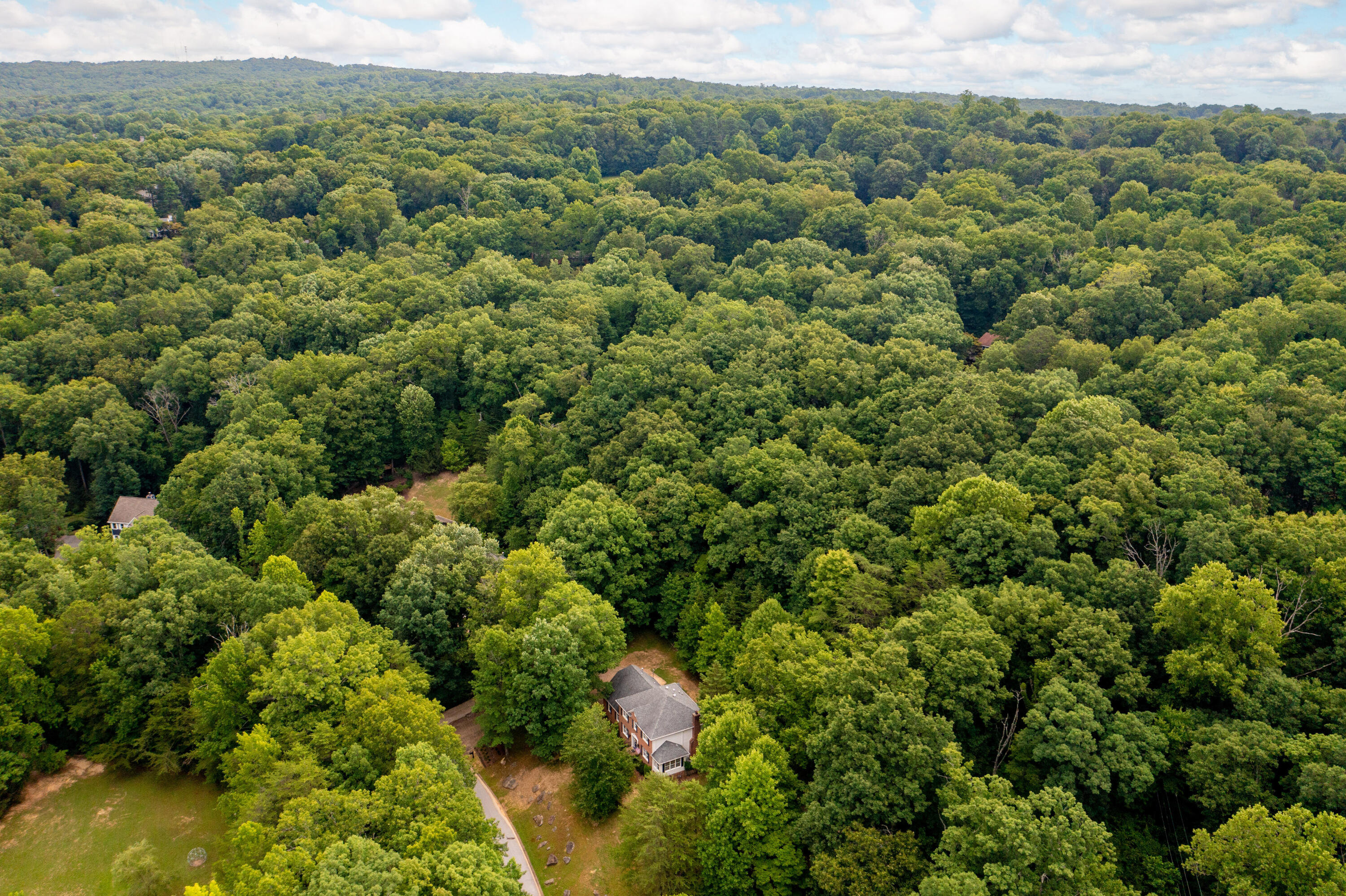 925 Dunsinane Road Signal Mountain, TN 37377 - Photo 62 of 68 925 Dunsinane Aerial 7