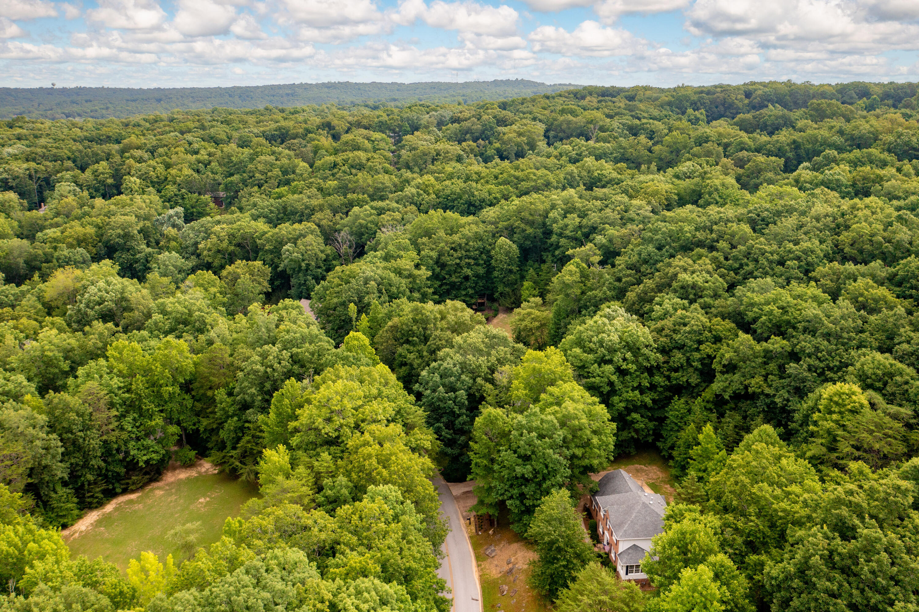 925 Dunsinane Road Signal Mountain, TN 37377 - Photo 63 of 68 925 Dunsinane Aerial 6