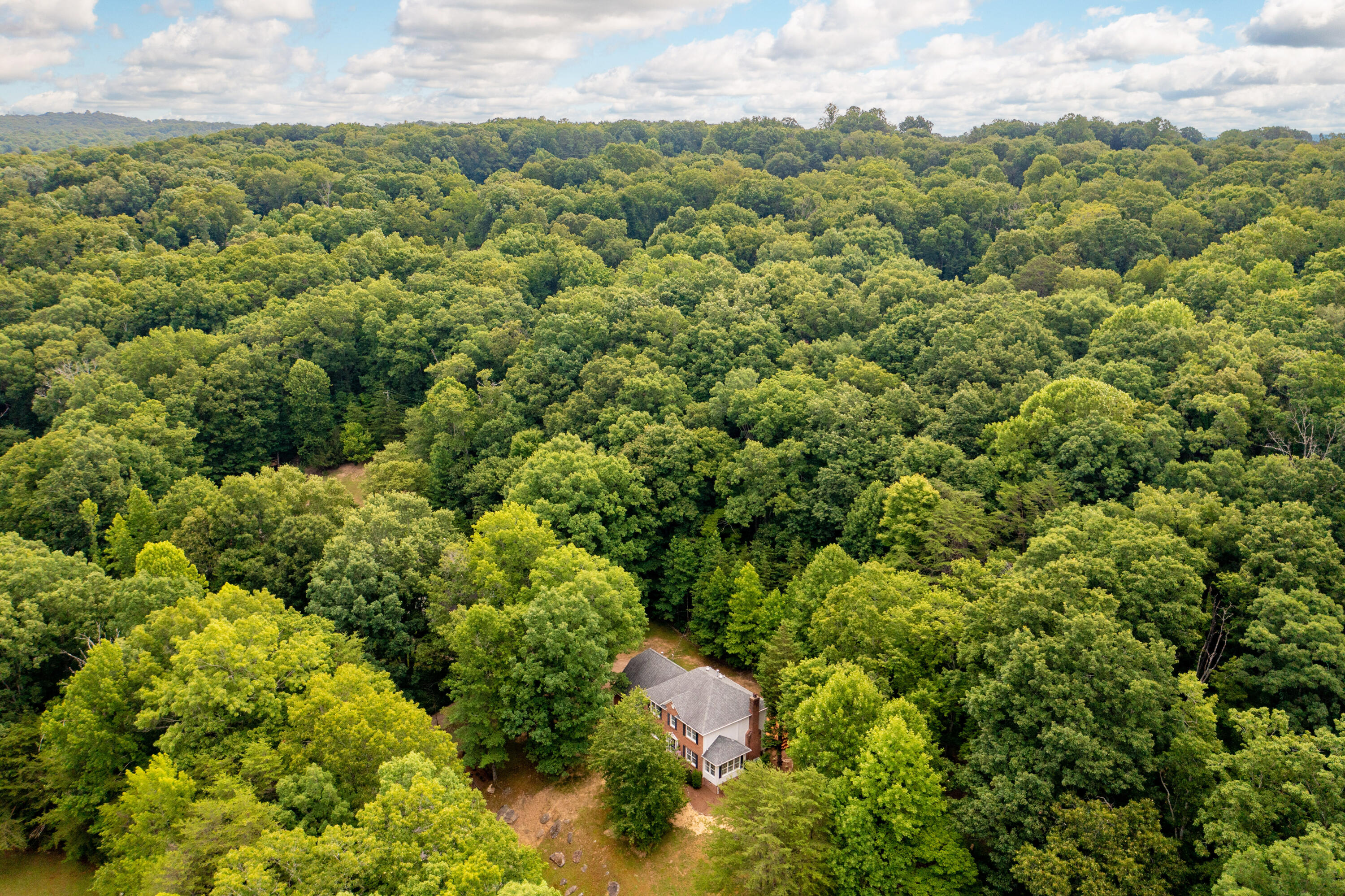 925 Dunsinane Road Signal Mountain, TN 37377 - Photo 64 of 68 925 Dunsinane Aerial 5