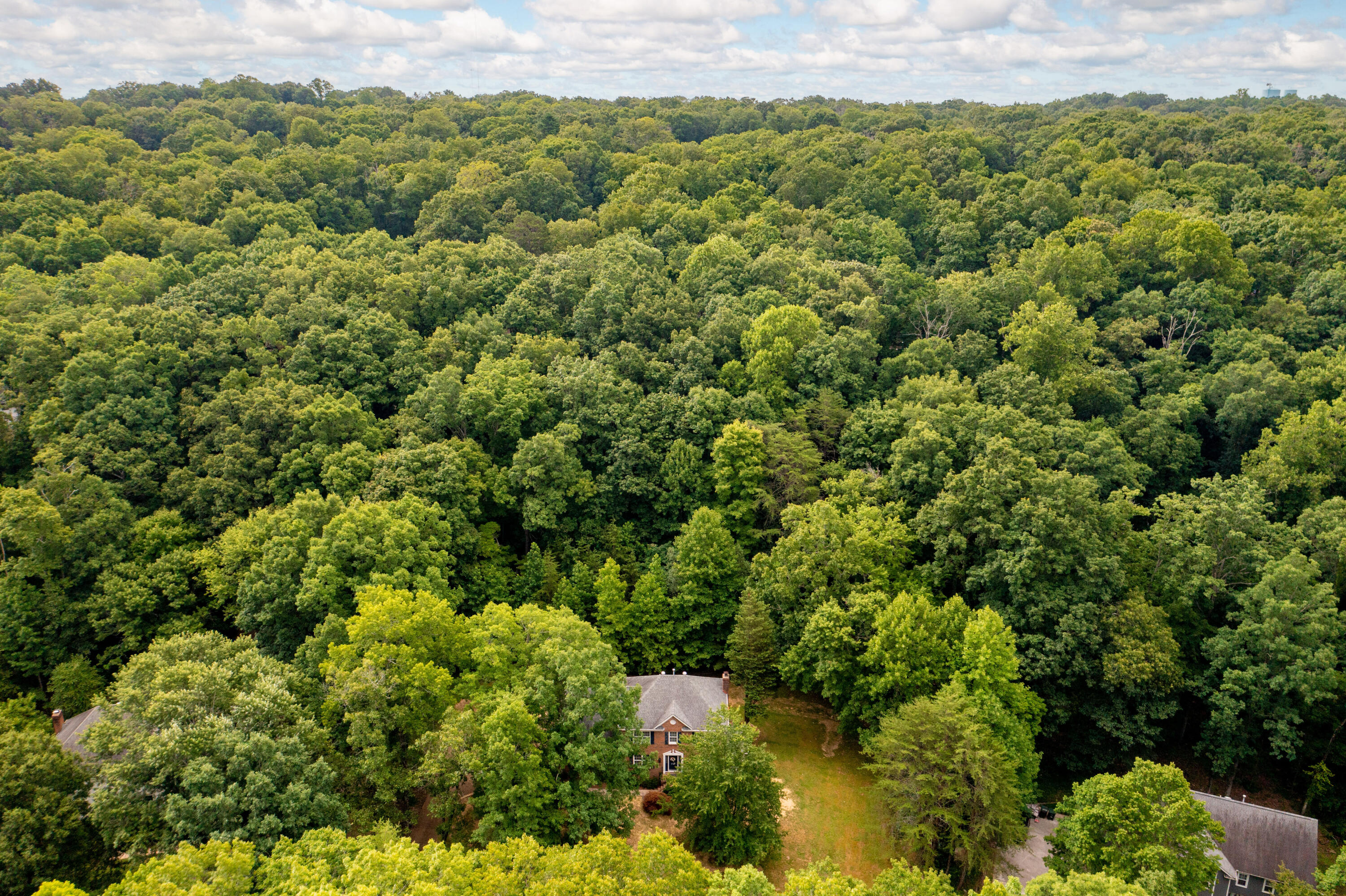 925 Dunsinane Road Signal Mountain, TN 37377 - Photo 65 of 68 925 Dunsinane Aerial 4